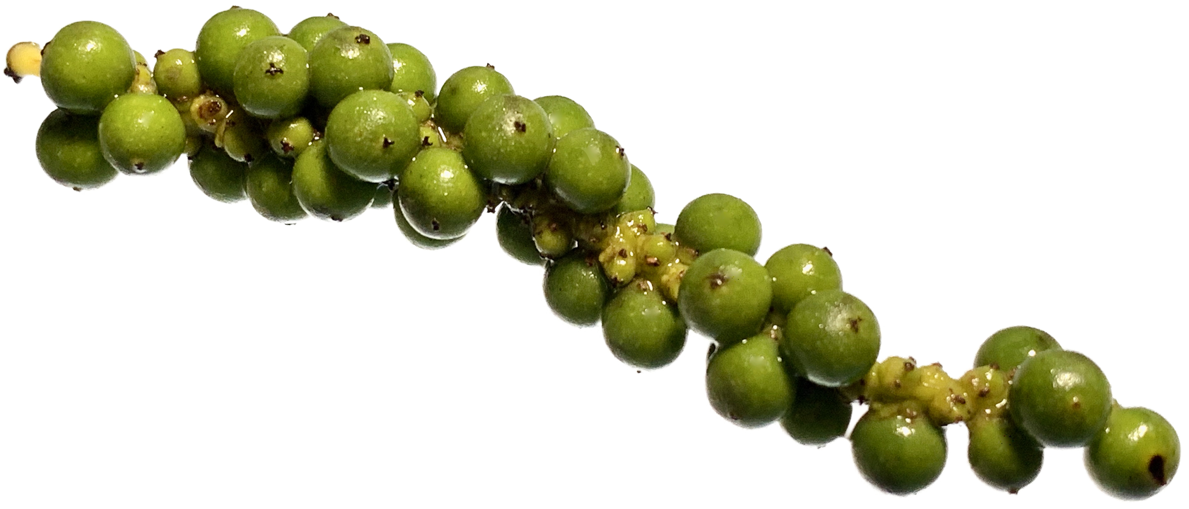 Green Peppercorns image