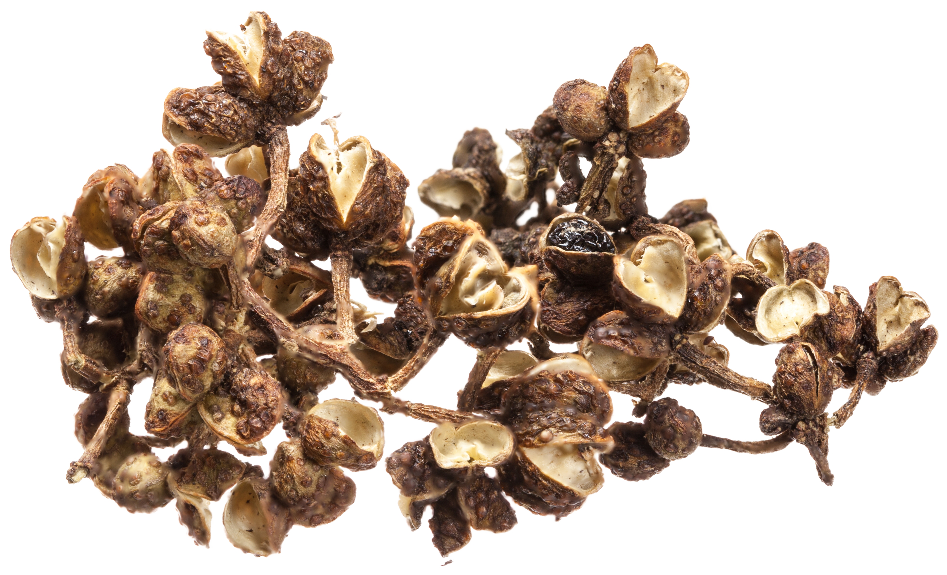 Andaliman Pepper image
