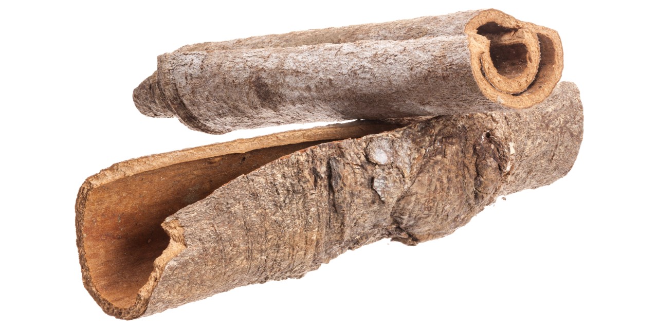 Vietnamese Cinnamon image