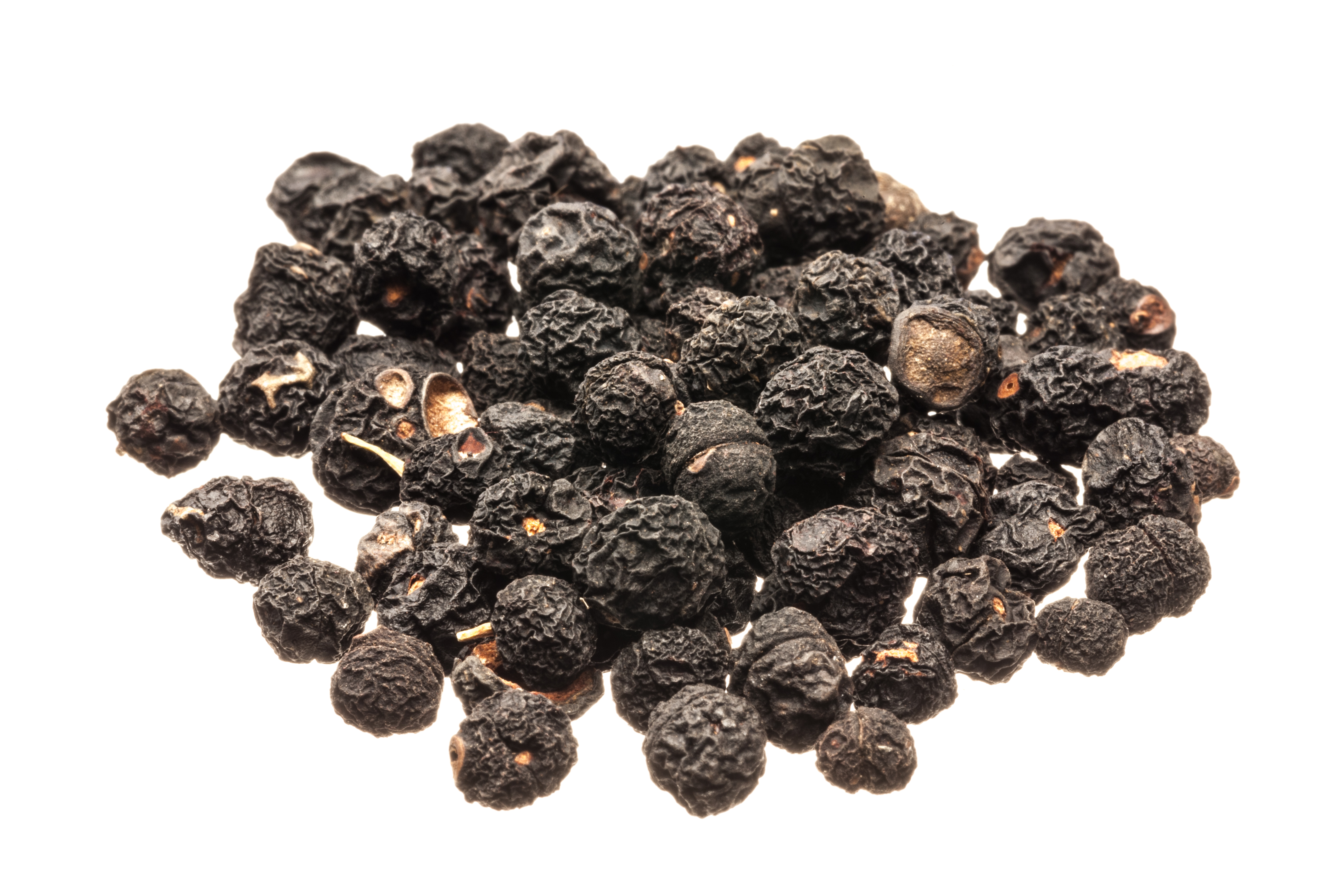 Tasmanian Pepper image