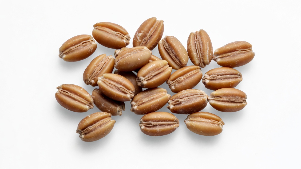 Farro image