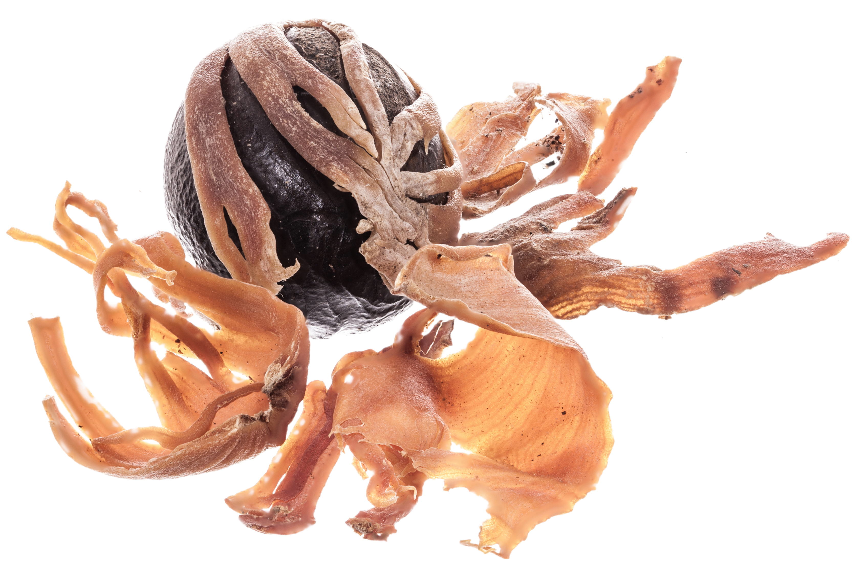 Mace image