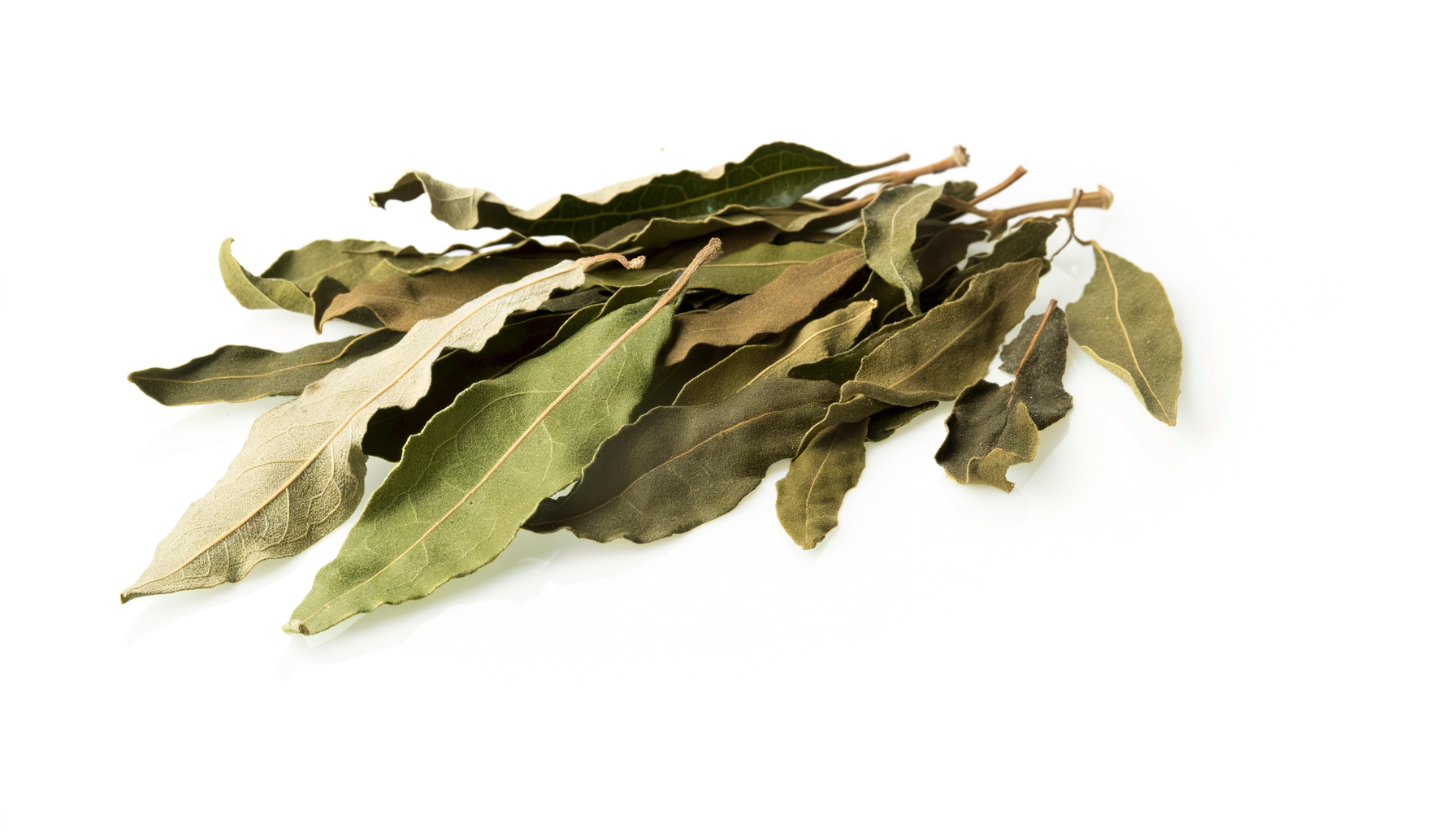 European Bay Leaf image