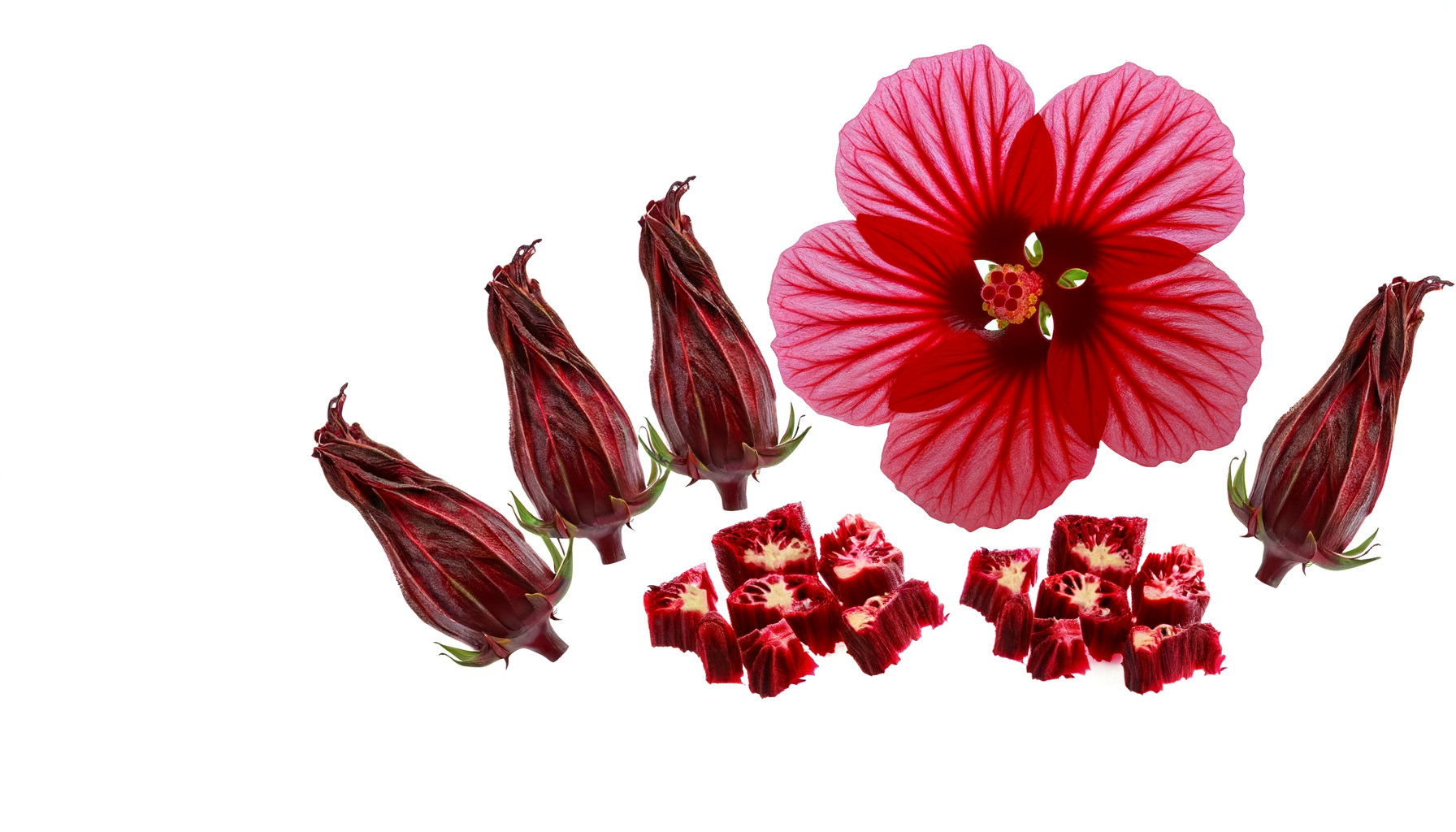 Hibiscus Flower image