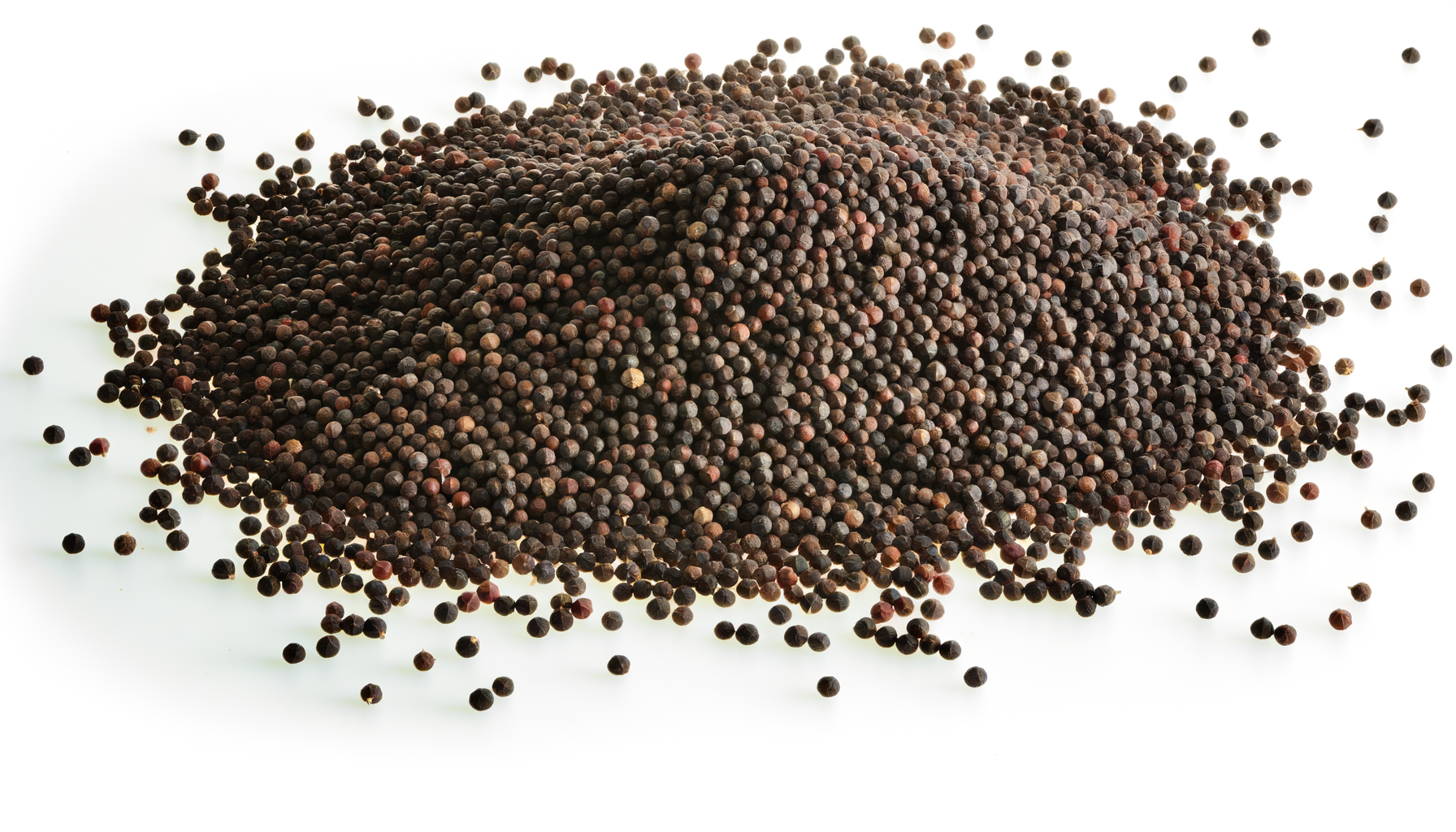 Black Mustard image