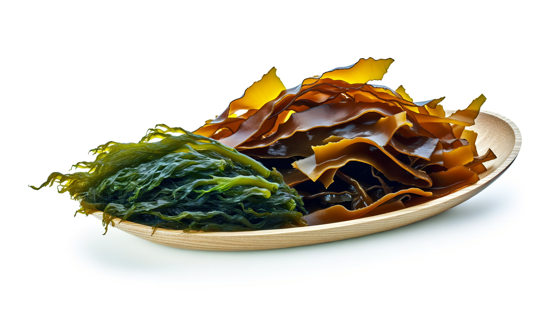Kelp image