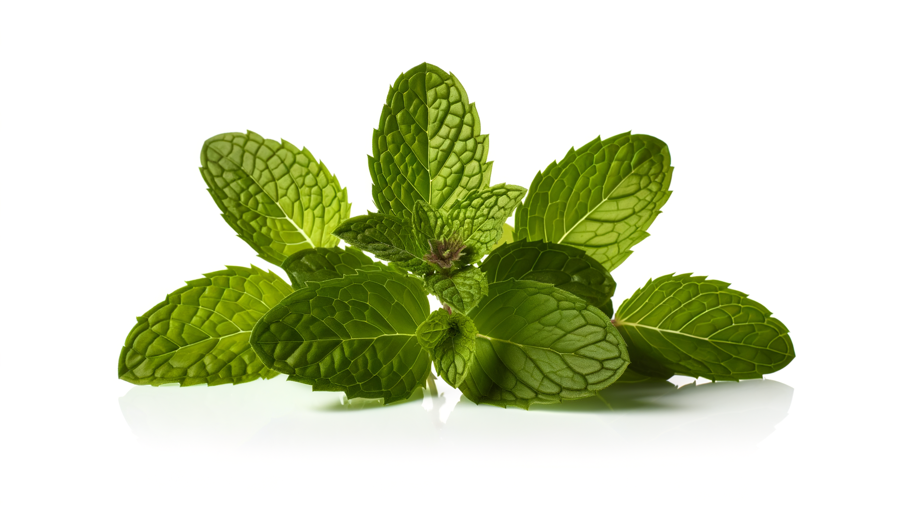 Mint image