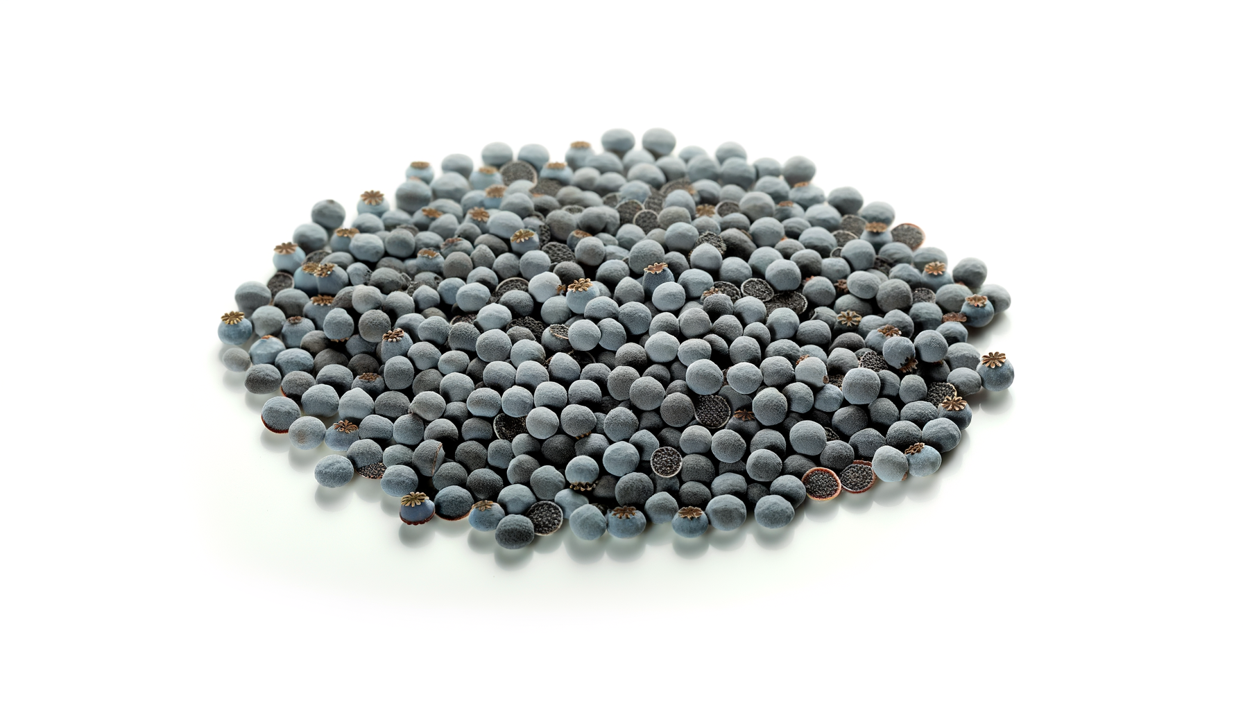 Poppy seed image