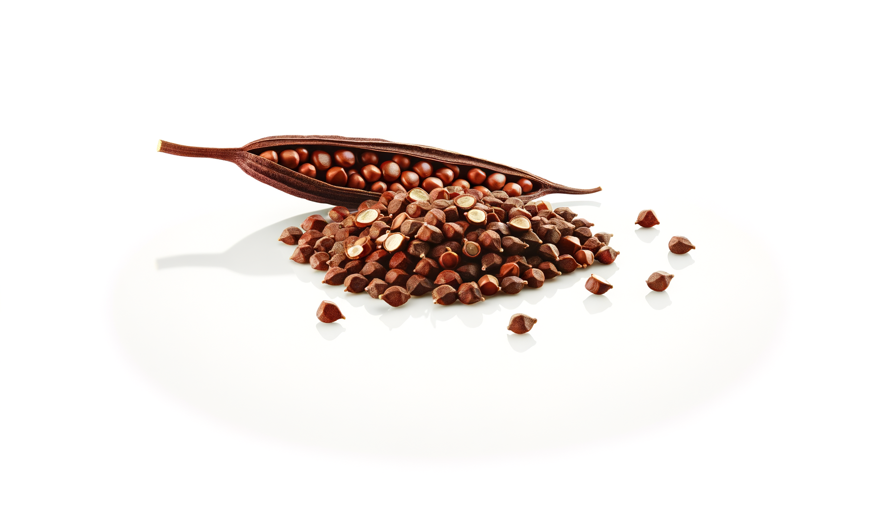 Grains of Paradise image