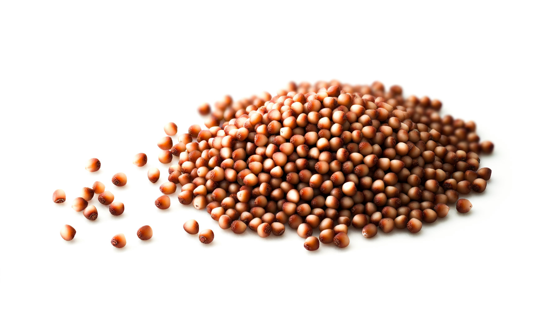 Millet image