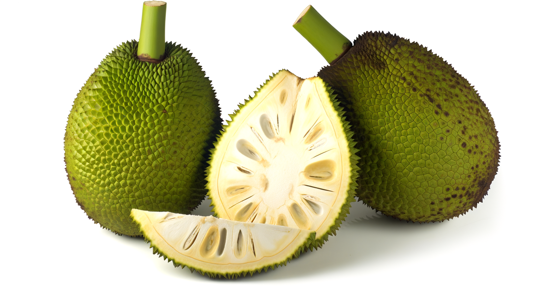 Breadfruit image