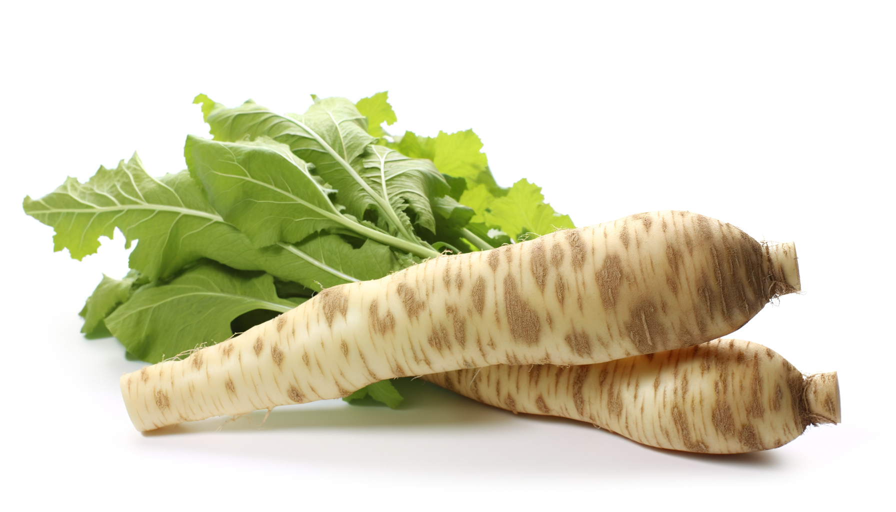 Horseradish image