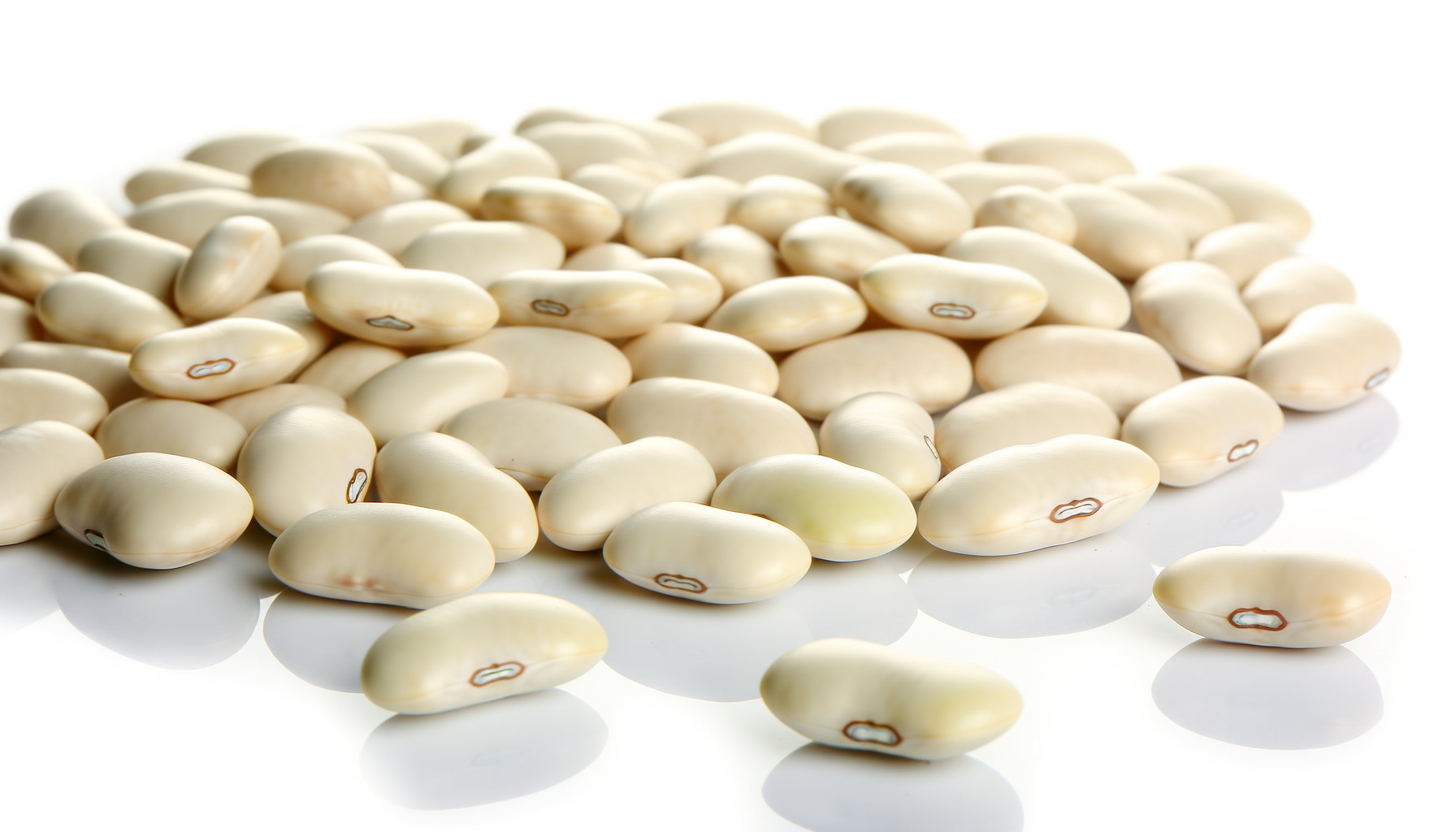 White Bean image