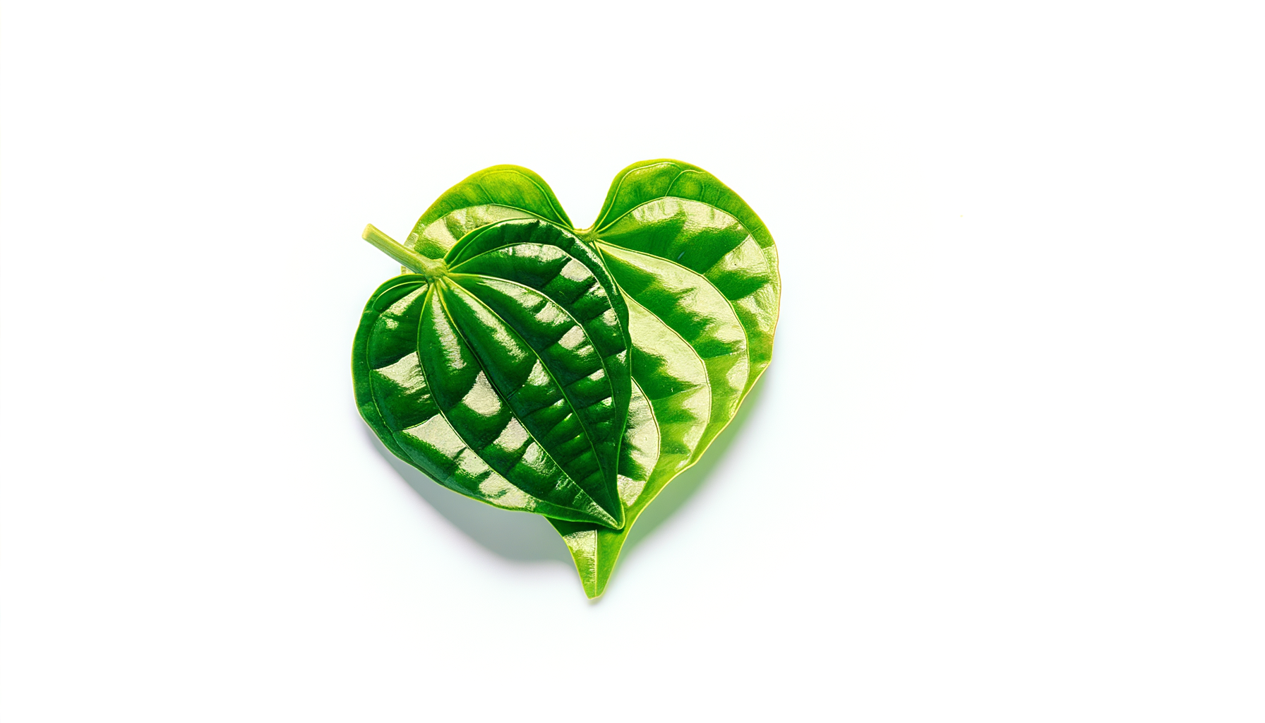 Betel Leaf image