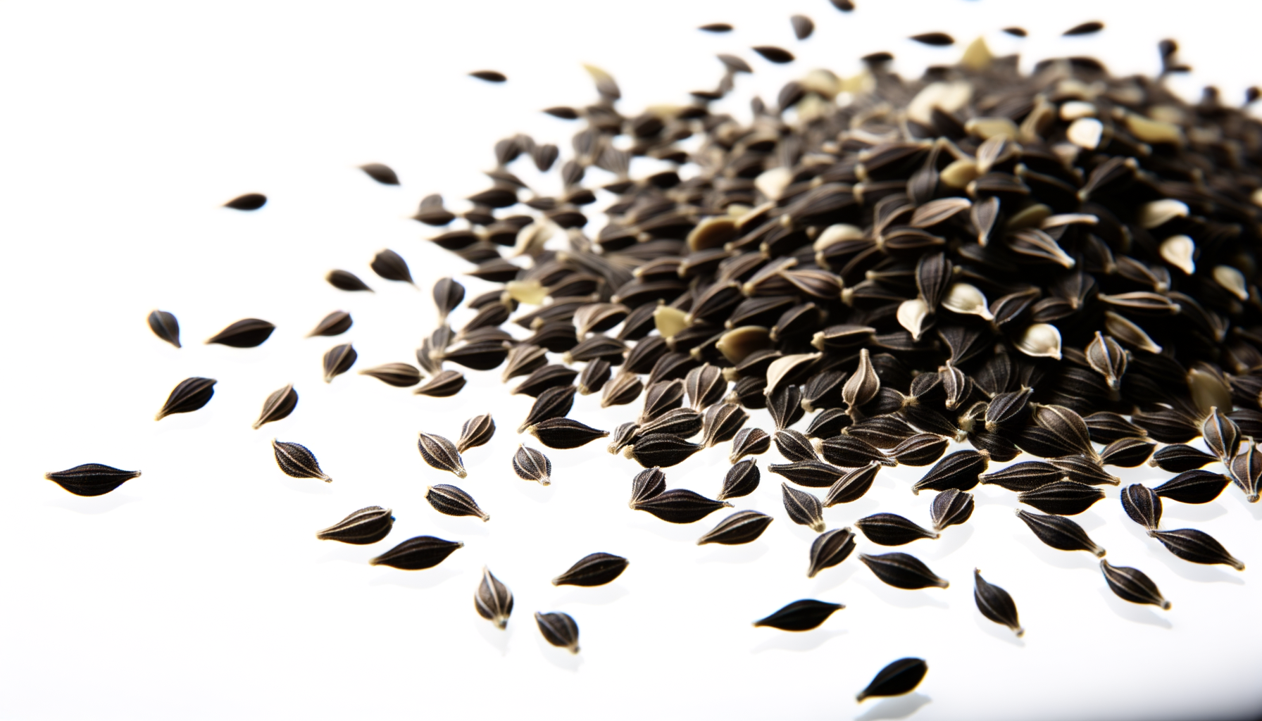 Nigella image